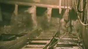 Draga-900