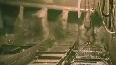 Draga-900