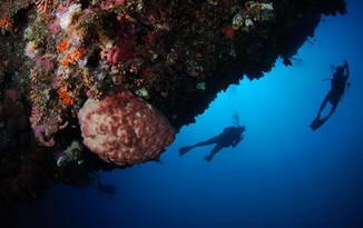 Bunaken Wall